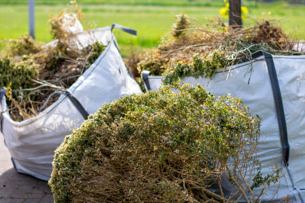  Loveland Park, OH Junk Removal Pros